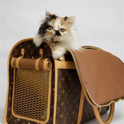 louis vuitton cat carrier.